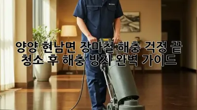 양양 현남면 장마철 해충 걱정 끝! 청소 후 해충 방지 완벽 가이드