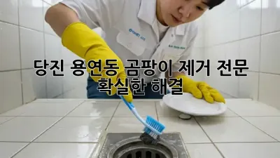 당진 용연동 곰팡이 제거 전문 💯 확실한 해결!