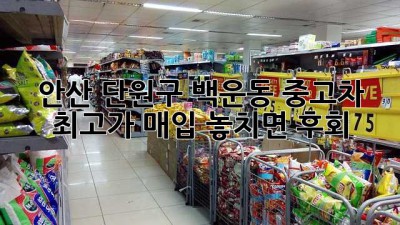 🚗 안산 단원구 백운동 중고차 최고가 매입?! 놓치면 후회! 💸