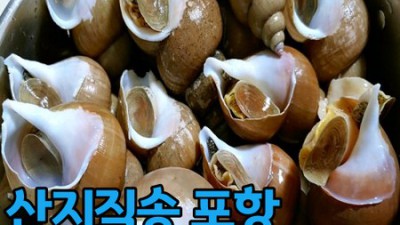 삼척번개시장 백골뱅이 후기! 득템 찬스 놓치지 마세요 😉