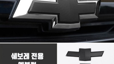 🚘 내 차 멋짐 UP! ✨ 트레일블레이저 엠블럼 꿀팁 대방출!